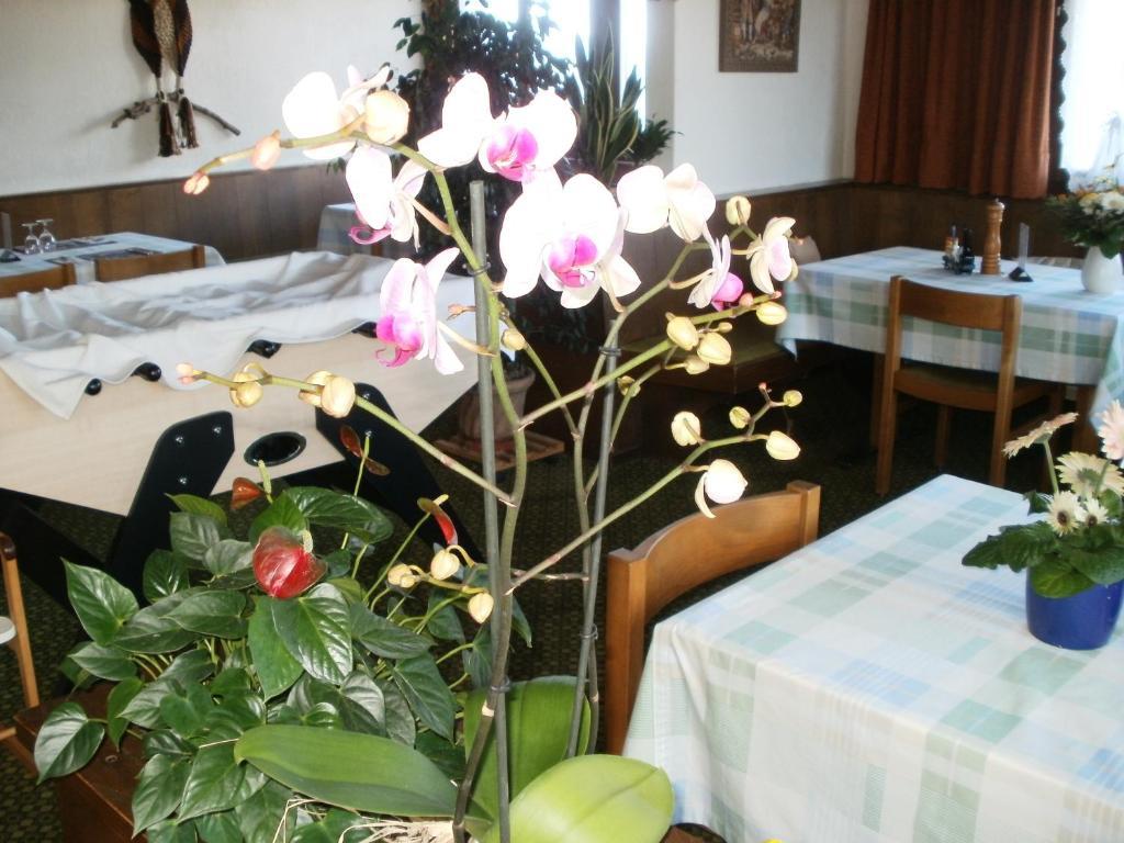 Hotel Pez Ault Дізентіс Екстер'єр фото